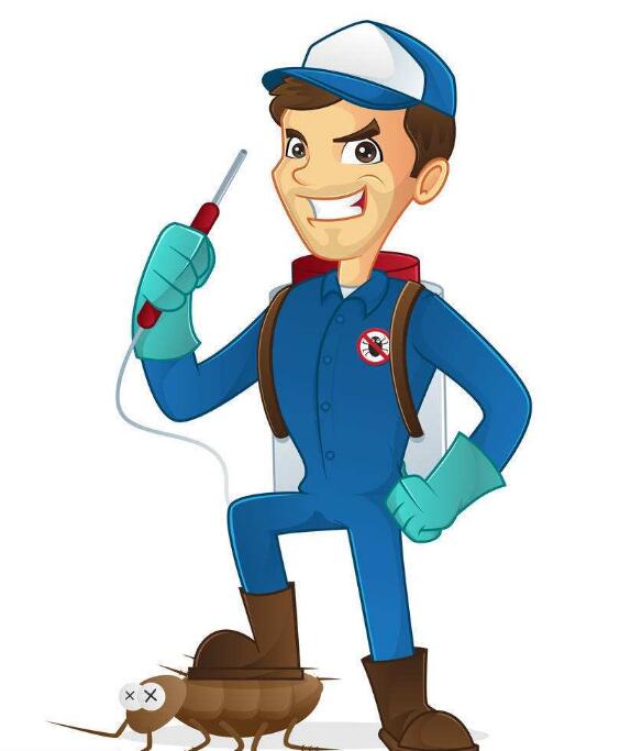 苍蝇,蚊子,蚂蚁的消灭方法。