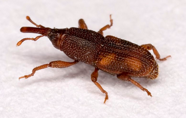 仓储防治服务 仓储防治服务