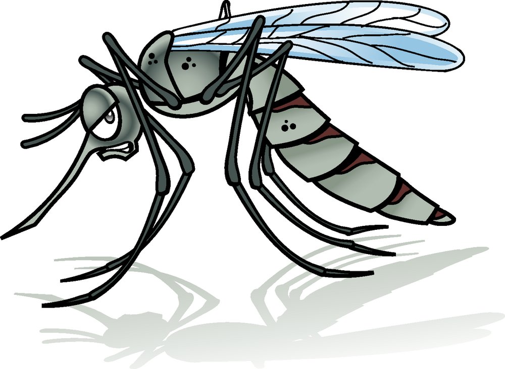 北京灭蚊蝇公司来教你如何消灭蚊子。