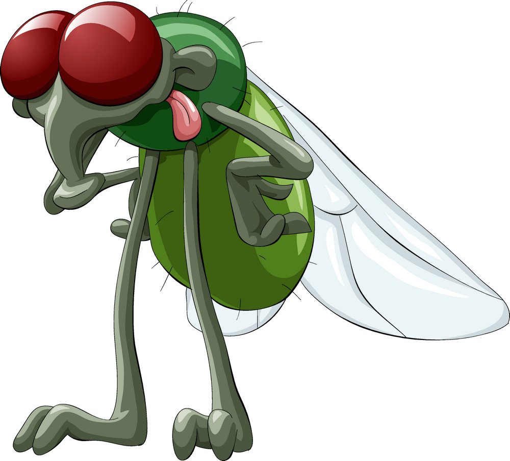 常见安全灭蝇方法介绍